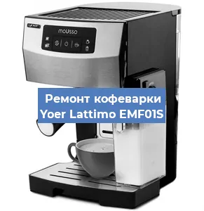 Замена прокладок на кофемашине Yoer Lattimo EMF01S в Челябинске